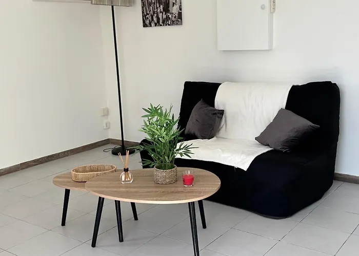 T2 Climatise Avec Piscine *